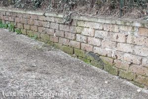Viterbo - Incuria in via delle Fortezze