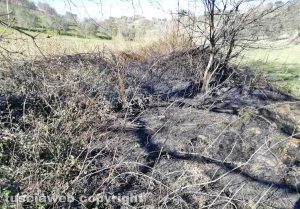 Montefiascone - L'incendio di sterpaglie in località Vallalta