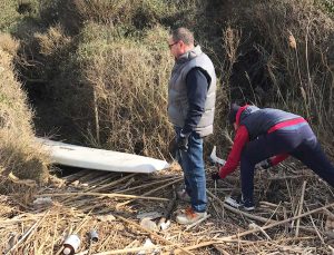 Montalto di Castro - La pulizia della spiaggia
