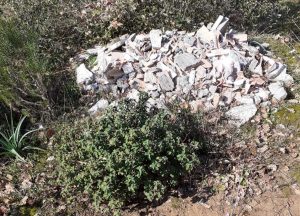Montalto di Castro - Rifiuti nella Pineta del Palombaro