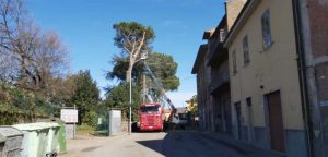 Albero caduto nella villa comunale