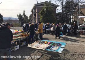 Viterbo - Il mercato al Carmine Salamaro