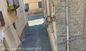 Viterbo - Vecchia luce cittadina rotta in via San Bonaventura