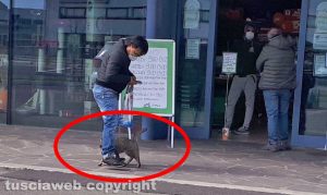 Anche un gatto in coda al negozio di alimenti per animali sulla Cassia Nord