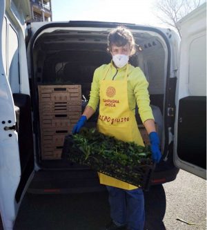 Viterbo - Campagna amica dona prodotti a Croce rossa e Caritas