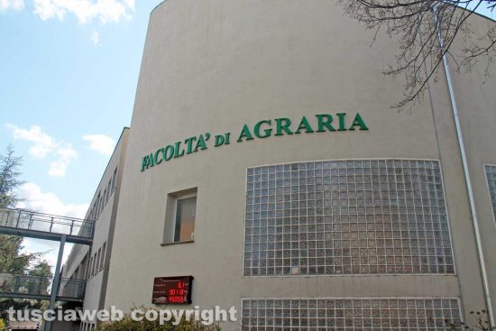 Viterbo - Unitus - La facoltà di agraria