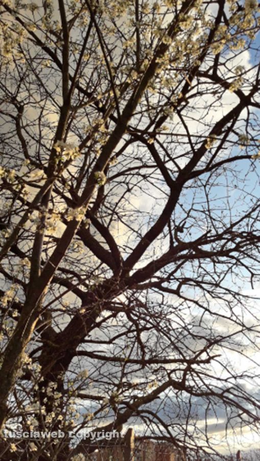 E il cielo è sempre più blu...