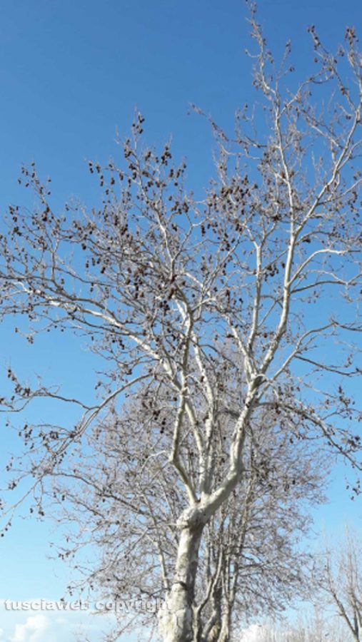 E il cielo è sempre più blu...