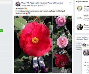 Coronavirus - Post sulla pagina facebook del vivaio Paparozzi