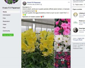 Coronavirus - Post sulla pagina facebook del vivaio Paparozzi