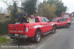 Montefiascone - Albero rischia di precipitare sulla strada