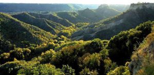 Lubriano - Valle dei Calanchi