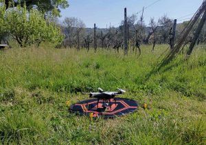 Montefiascone - Controlli con il drone sul lungolago