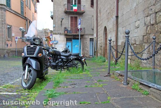 Viterbo - Piazza Dante