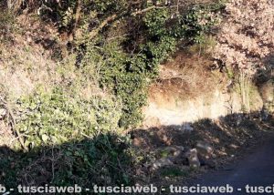 Viterbo - Smottameto di terreno del 24 novembre 2019 a strada Fonte
