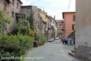 Viterbo - Via San Pellegrino
