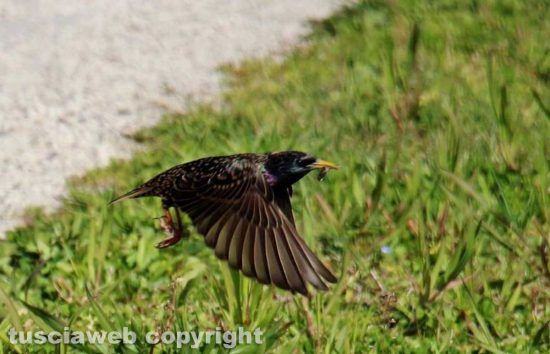 Colori di primavera...