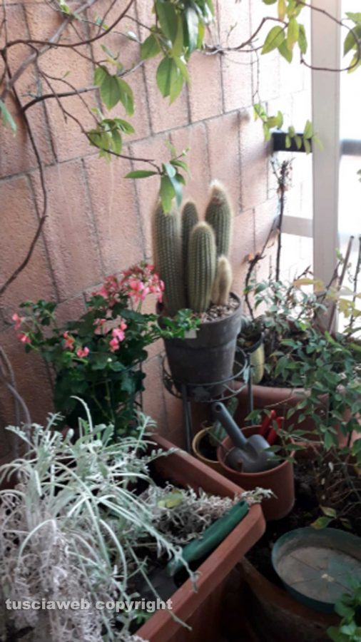 Il giardino sul balcone