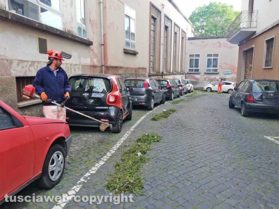 Viterbo - Il taglio dell'erba a via Vetulonia