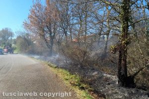 Montefiascone - L'incendio di sterparglie in via Cevoli