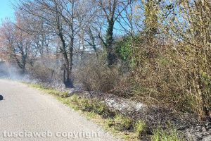 Montefiascone - L'incendio di sterpaglie in via Cevoli