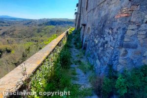 Viterbo - Incuria nella frazione di Roccalvecce