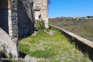 Viterbo - Incuria nella frazione di Roccalvecce