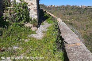 Viterbo - Incuria nella frazione di Roccalvecce