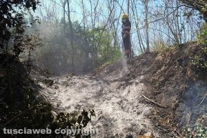 Montefiascone - L'intervento dell'Asvom Odv in località Caversa