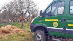 Vetralla - I volontari portano da mangiare alle capre
