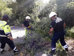 Tarquinia - L'intervento dei volontari aeopc, insieme ai carabinieri, per i rami caduti