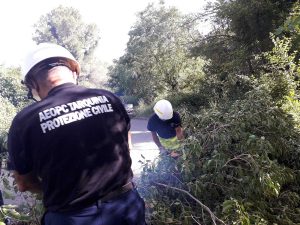 Tarquinia - L'intervento dei volontari aeopc, insieme ai carabinieri, per i rami caduti