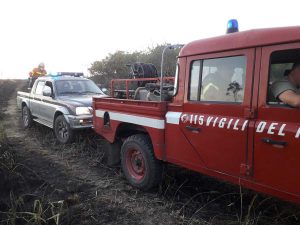 Incendio di sterpaglie, vigili del fuoco