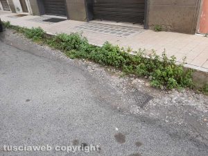 Viterbo - Incuria e degrado nelle strade del quartiere Cappuccini