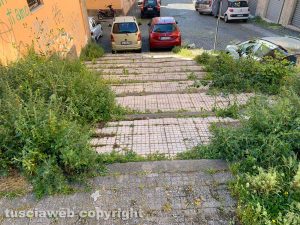 Viterbo 2020 ripulisce San Faustino