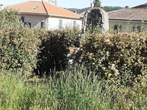 Orte - Erbacce al parco Paradiso appena riaperto