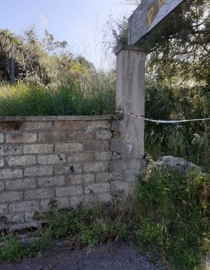 Orte - Erbacce al parco Paradiso appena riaperto