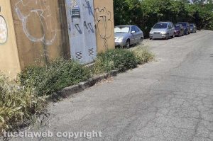 Viterbo - Erba alta e incuria in via Monte Verdi