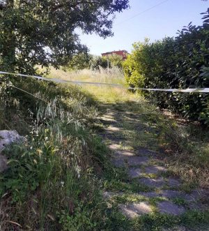 Orte - Erbacce al parco Paradiso appena riaperto