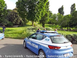Viterbo - Nido di api nel parco della Grotticella