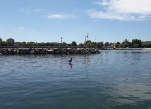 Il porto di Marta