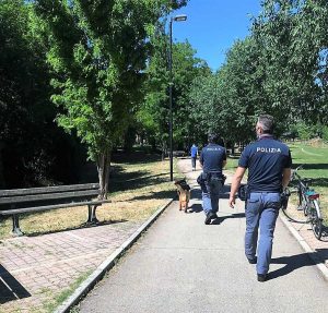 Controlli della Polizia 