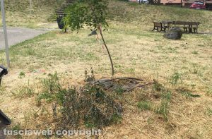 Degrado al parco di via Cattaneo