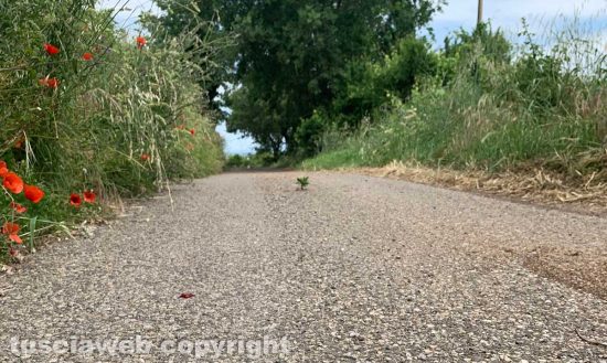 Quando la natura fa il suo corso