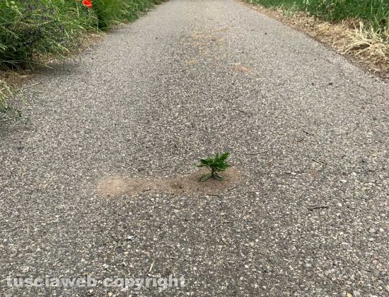 Quando la natura fa il suo corso