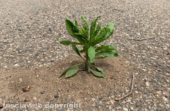 Quando la natura fa il suo corso