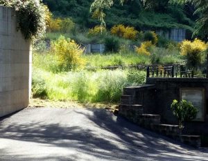 Carbognano - Il degrado vicino al cimitero 