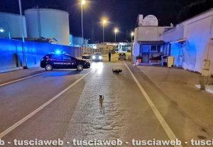 Civitavecchia - Scontro tra una moto e due auto sull'Aurelia