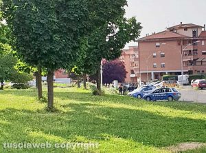 Viterbo - Nido di api nel parco della Grotticella