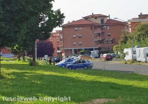 Viterbo - Nido di api nel parco della Grotticella